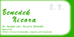 benedek nicora business card